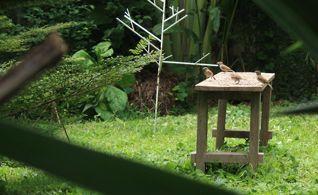 Cabinthai Mae Chaem Buitenkant foto